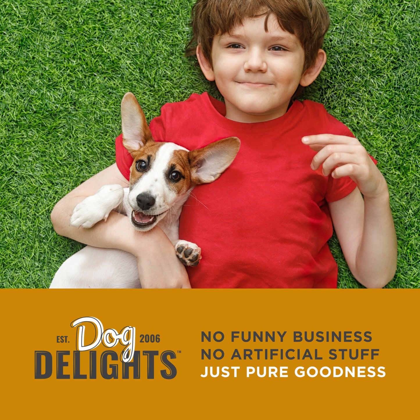 Chewy Lamb Sticks - 1.25kg